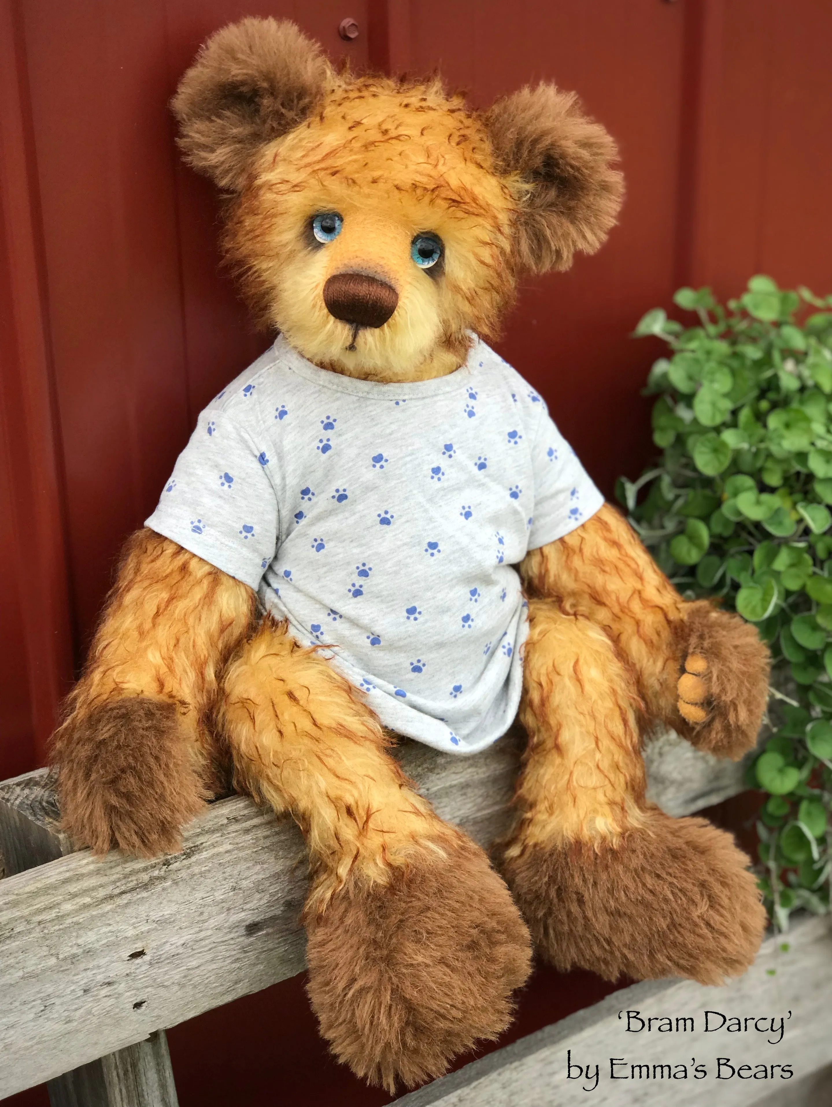 Bram Darcy - 21" Mohair and Alpaca Toddler Artist Bear by Emma's Bears - OOAK