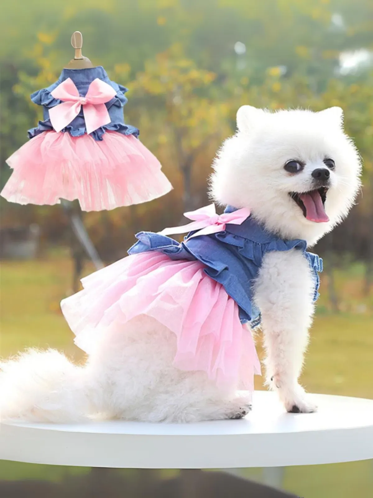 Chic Tutu Summer Denim Dress for Dogs