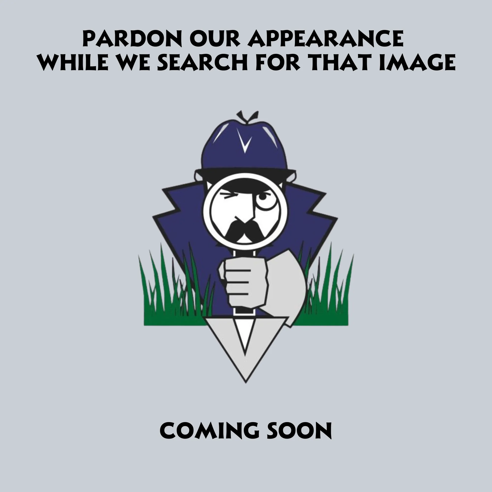 Takion White Peachleaf Bellflower